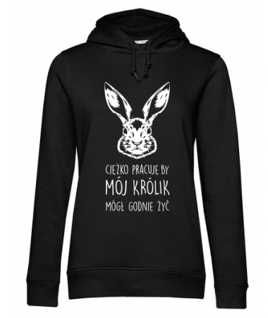 Królik