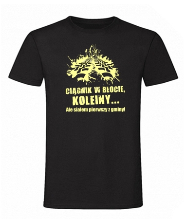 Koleiny