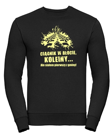 Koleiny