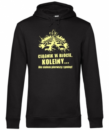 Koleiny