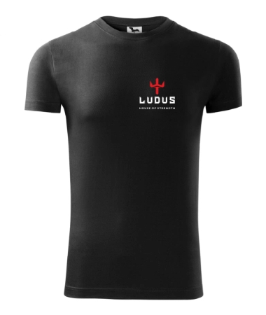 Ludus