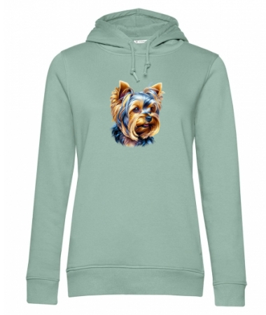 Z yorkiem