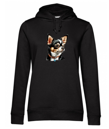 Chihuahua