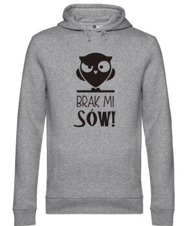 Brak mi sów